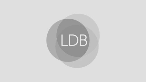 LDB Group