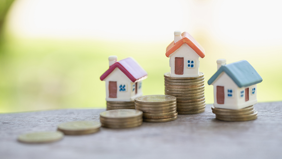 Land tax and stamp duty: A guide for beginners